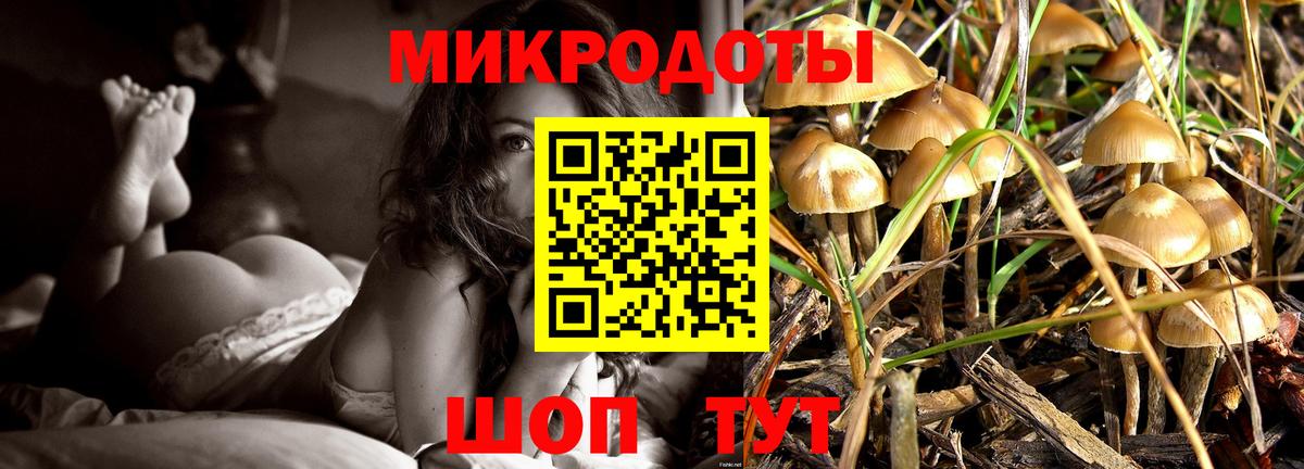 Чусовой  Псилоцибиновые грибы MAGIC MUSHROOMS  наркотики  Вход с VPN  Псилоцибиновые грибы MAGIC MUSHROOMS 